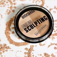 Sculpting_Powder_LUXVISAGE.jpg