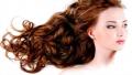 HAIR CARE photo conteamerica.com